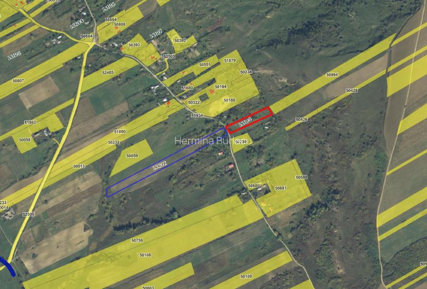 Pachet terenuri edificabile+agricole ,3ha, utilitati, Bunghi Poienari - 2