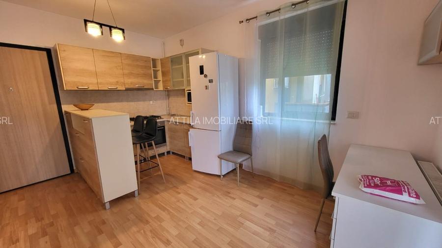 Dumbravita Complex Barcelona 1 camera 350 euro - 4