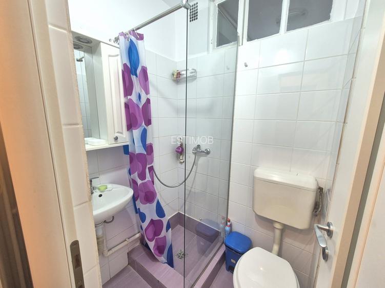 Inchiriere garsoniera cocheta mobilata si utilata zona Centrul Civic AFI Brasov - 23