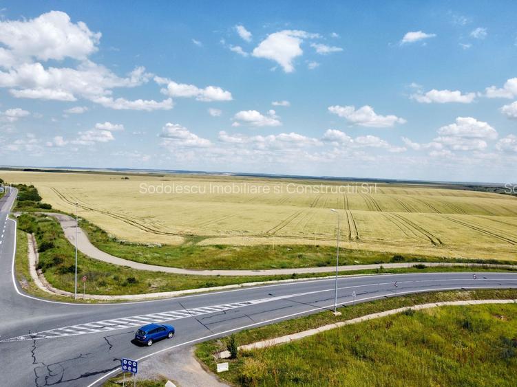 Teren la sosea Ortisoara - Autostrada A1 - 6