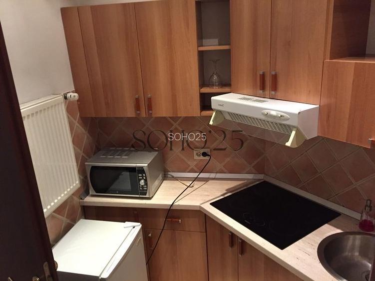 Apartament 2 camere în vilă – zona Icoanei - Parter inalt - 5