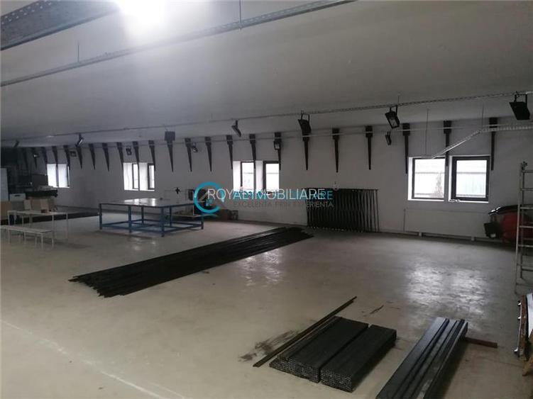 Royal Imobiliare - Vanzare Spatiu de productie Albesti Paleologu - 6