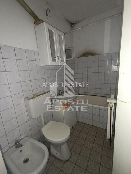 Casa individuala + garaj si anexa, oportunitate investitie, Sagului! - 24