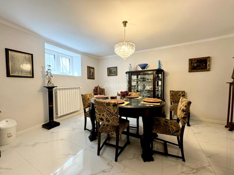 Vanzare vila Gradina Icoanei - Dacia - curte, casa de oaspeti - 12