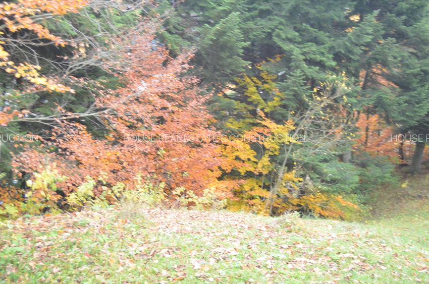 Teren intravilan situat in Busteni-Valea Alba - 3