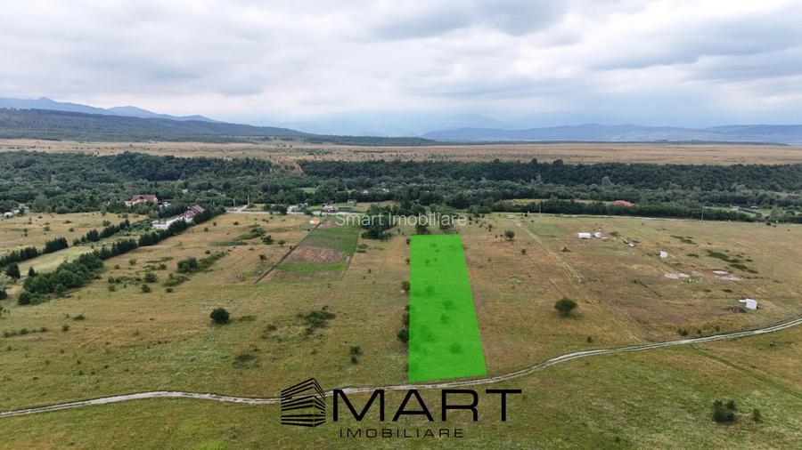 Teren intravilan 5000mp Valea Avrigului - 5