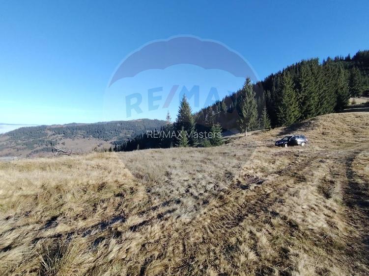 Teren 31,461mp Panaci / Prelungirea Ialovita - 7