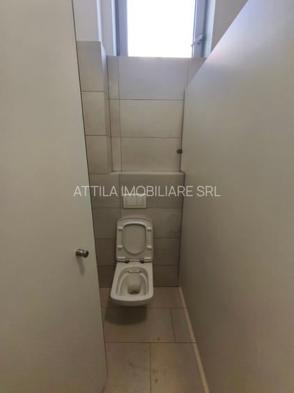 Lipovei birou 40 mp 400 euro - 7