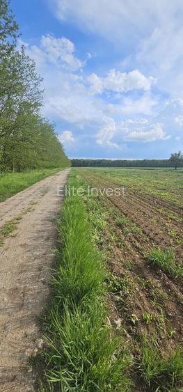 Teren intravilan - 4752 mp - 8 loturi de 594 mp - com Gruiu-Lipia - km 31 A3 - 4