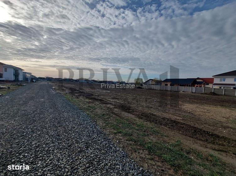 Teren intravilan 530 mp, front 20 m, Mosnita Veche - 2