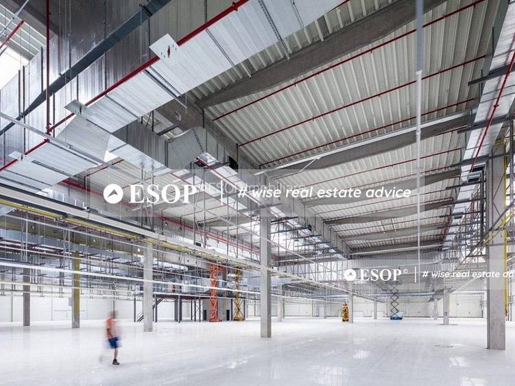 CTPark Arad II, hale in parc industrial, 0% comision, 3.000-21.000mp - 2