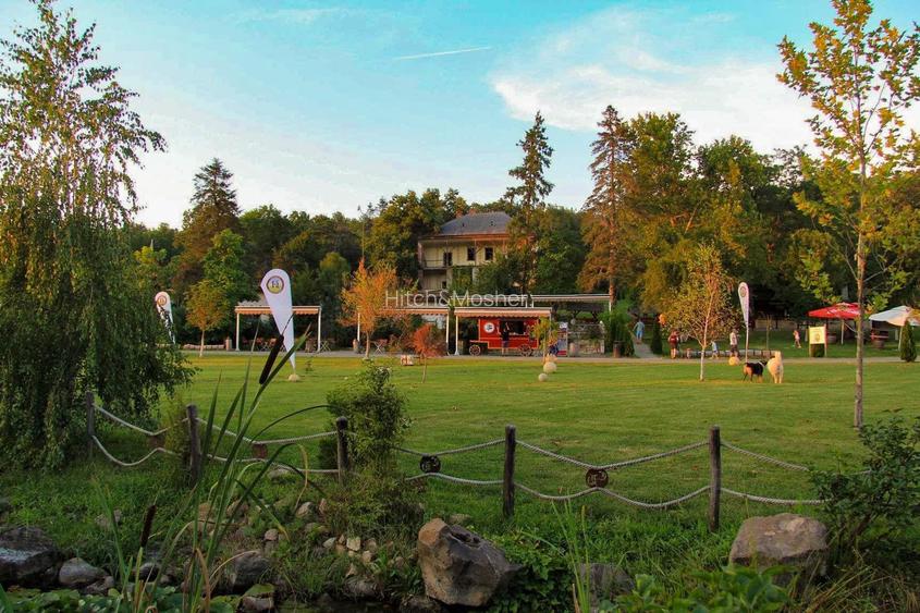 Domeniul Herneacova - 8