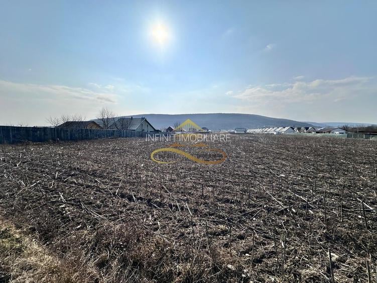 De vanzare teren intravilan Hemeius Bacau - 8