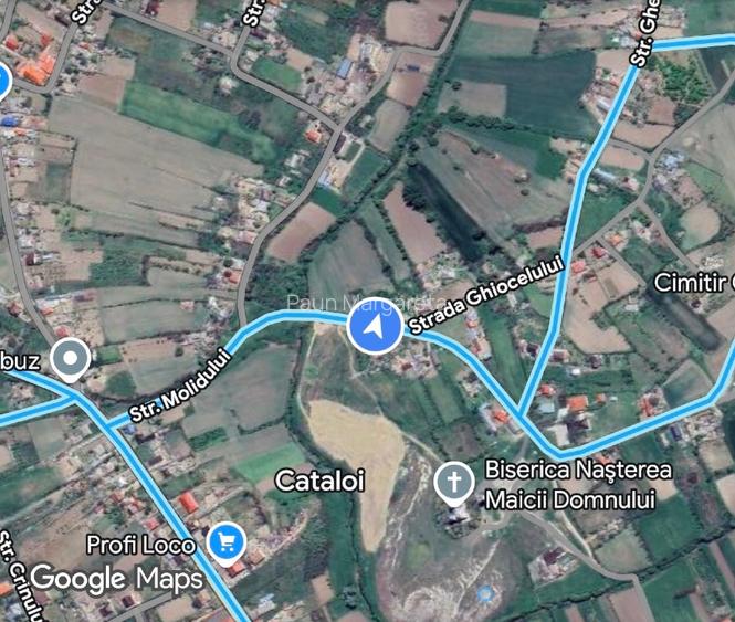 TEREN CATALOI 500mp3 (urgent!) - 2