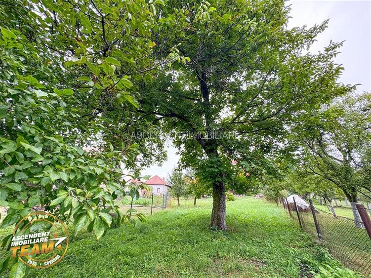 FILM!  2 case,domeniu de 1.660mp, cu atelier,anexe,Lemnia,Covasna - 7