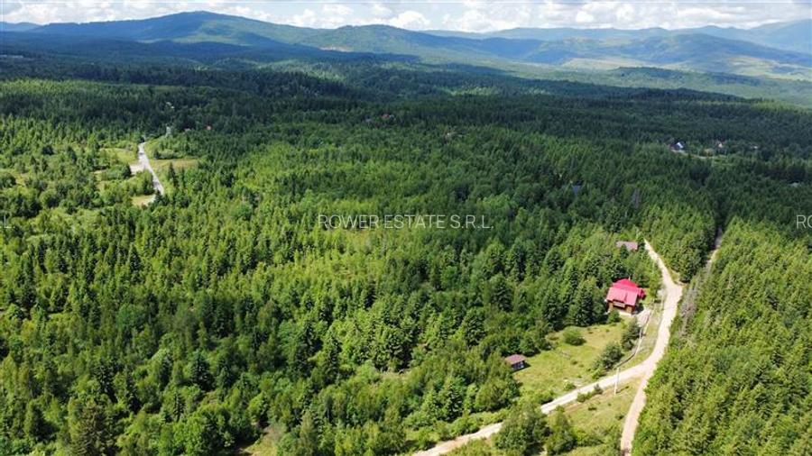 Cabana - Casa de vacanta situata in Calatele Padure! - 9