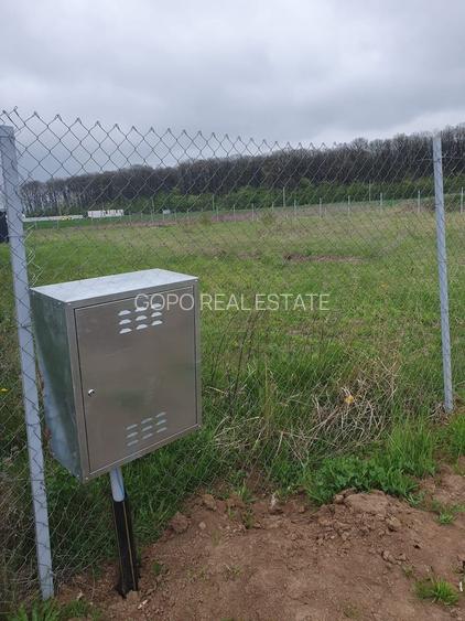 Teren 1500 mp Ghermanesti in proximitatea padurii str Nicopole - 6