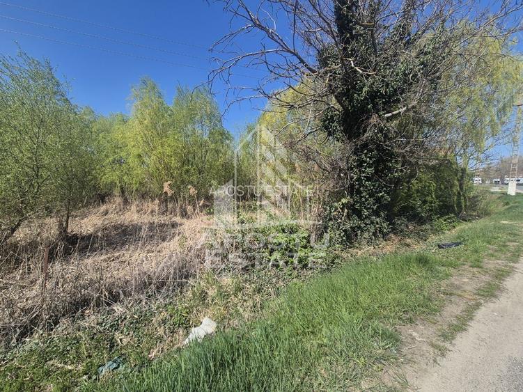 TEREN PE MALUL RÂULUI ARANCA SÂNNICOLAU MARE 0% COMISION CUMPĂRĂTOR - 3