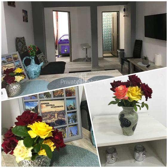 Casa Moderna 2 Camere De Vanzare Curte Proprie, Str Horea, Central - 14