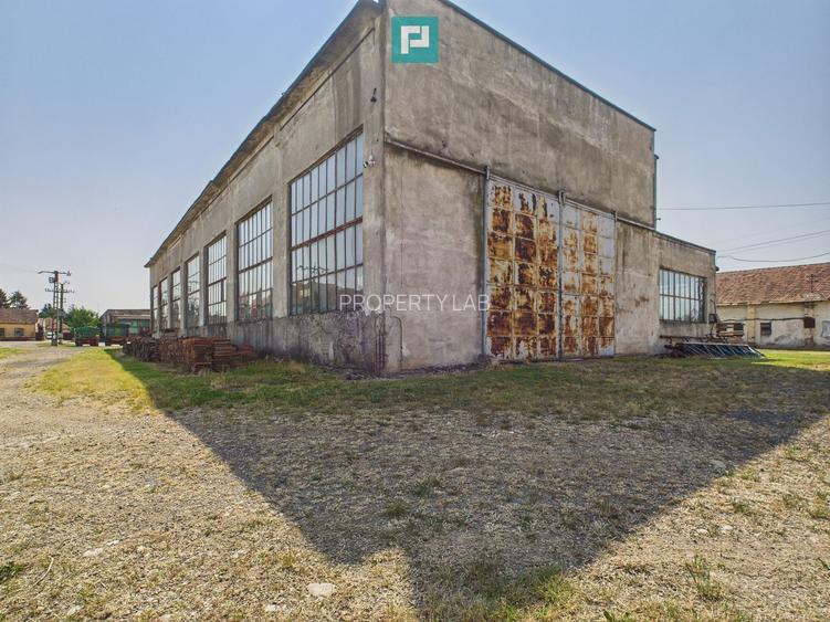 Hală pentru producție - 700 mp utili - 3