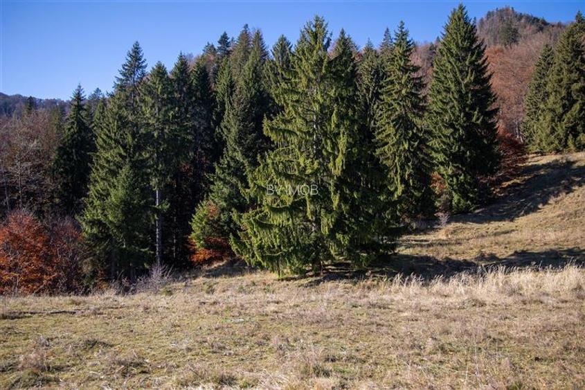 Teren de Vis langa Siriu  – 20000 mp ideal pentru Complex turistic Comision 0% - 19