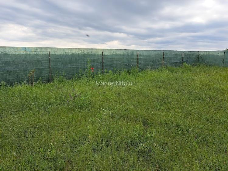 Teren intravilan 600 mp – pentru casă sau escapade de weekend, 35 km Bucuresti - 5