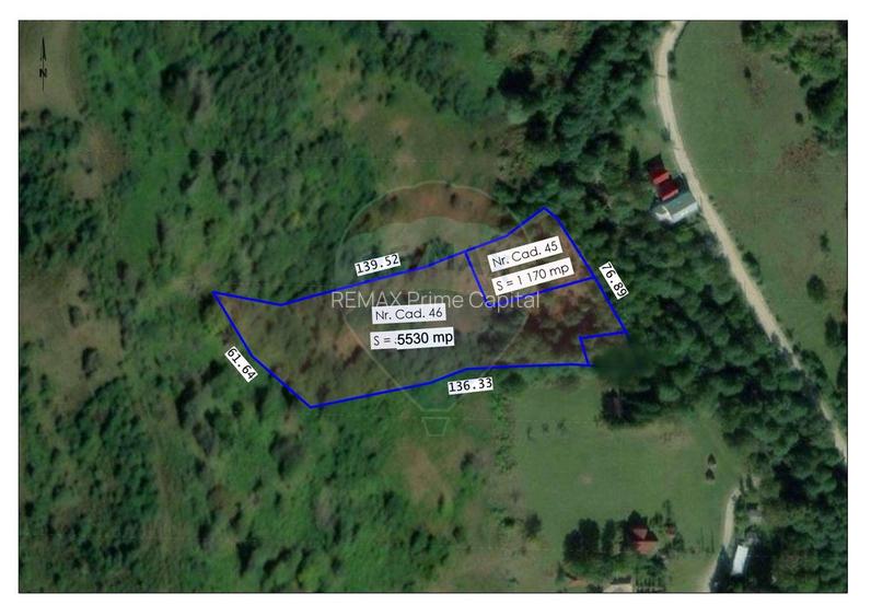 Teren 6700 mp, Apuseni, Pietroasa, Valea Aleului, Bihor, De Vânzare - 2