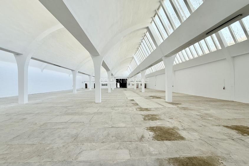 Hală industrială de producție/depozitare – Jilava, Str. Gării, 1797 mp - 4