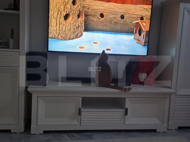 Apartament confortabil, 2 camere, zona excelenta - Tractoru - 15