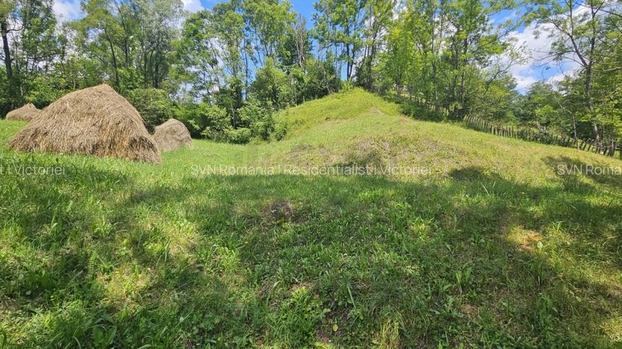 REL4001173 Teren de vanzare in Valea Doftanei - 3