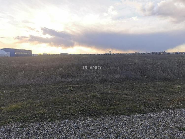 ROANDY-Teren ideal pentru investitie parc Vest - 3