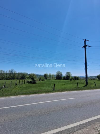 INTRAVILAN DE VÂNZARE | TISMANA, GORJ - 5