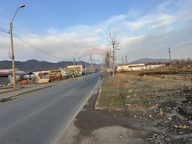 Teren 4,600mp Baia Mare / Strada Oborului - 6
