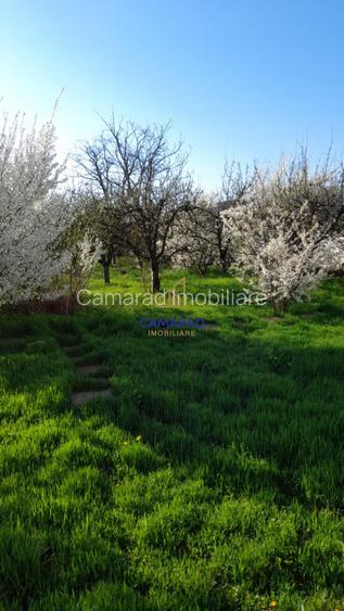 Casă de vânzare în Tămădău Mare, jud. Călărași – Strada Principală - 18