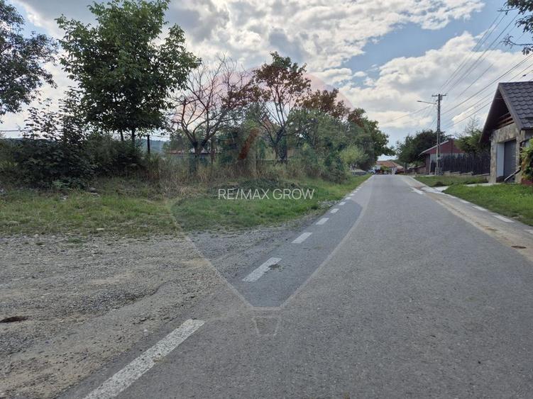 Teren de vanzare Poduri - Bacau - 8