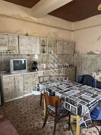 Casă unifamilială în Remetea Mare  cu teren de 3383 mp. - 6