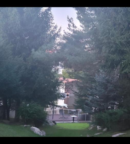 Snagov ghermanesti  vila mobilata  lux 5 cam 5 bai  - 12