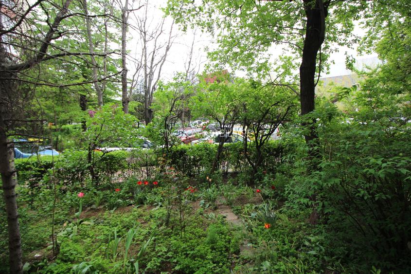 Dristor - ParkLake, 2 camere nemobilat, renovat, la parter - 6