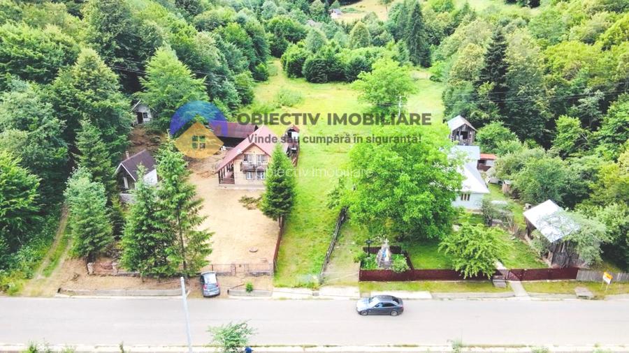 TEREN intravilan   8.000 mp TARCAU - 6