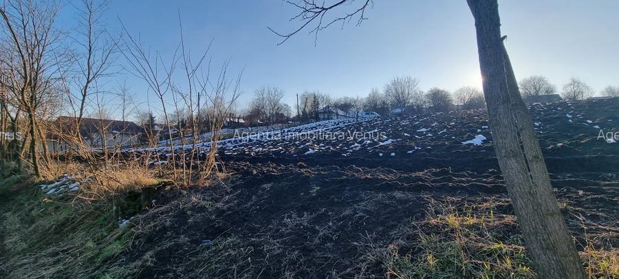 Loc de casa in Manastirea Doamnei - 4