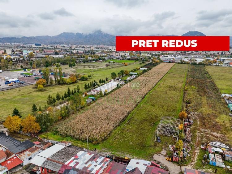 Teren industrial- Timișul Sec oportunitate investițională - 5