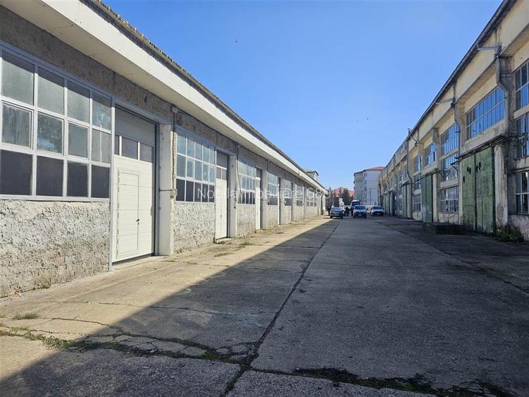 TEREN INTRAVILAN CURS CONSTRUCTII ( 2 ha) DE VANZARE IN ONESTI - 7