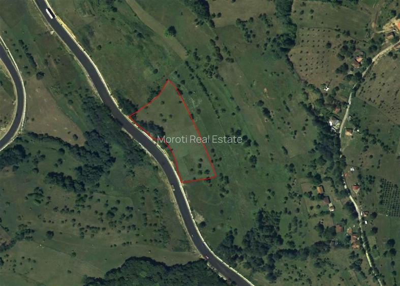 Teren intravilan 8757 mp cu acces direct la E79 - 15