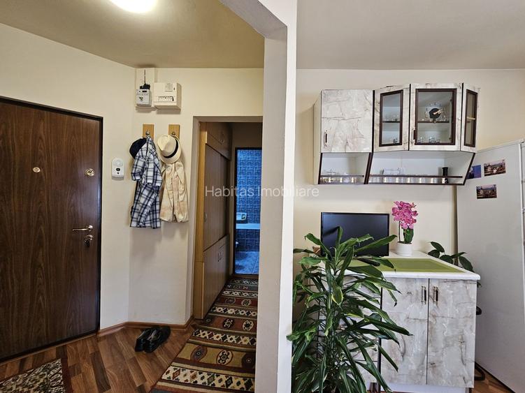 Apartament cu 2 camere, decomandat, mobilat, zona Campului - 9