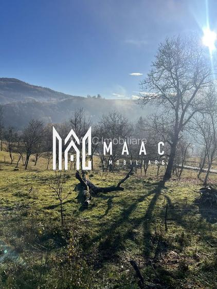 Super oferta I Vânzare Teren – Poiana Sohodol, Județ Alba - 4