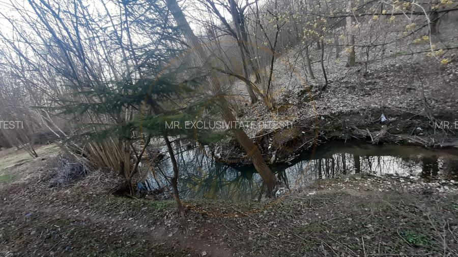 Teren intravilan pentru Casa de Vacanta - Mosoaia -Basangesti - 5