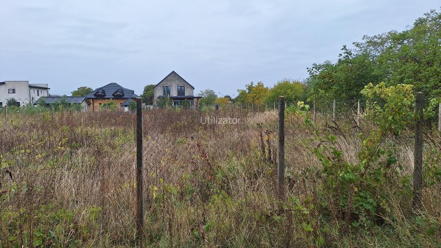 Vand teren localitatea Branesti Ilfov - 3