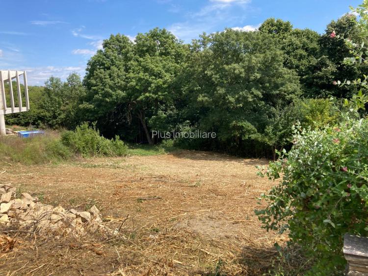 TEREN INTRAVILAN 1060 MP, BUCIUM- BARNOVA, DESCHIDERE LA DRUM 23 M - 4