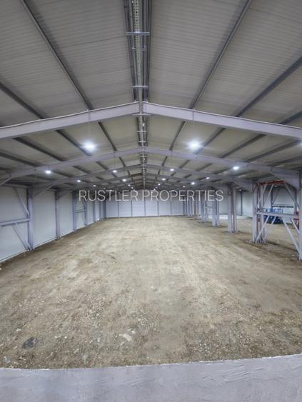 Hala de vanzare Balotesti - 4