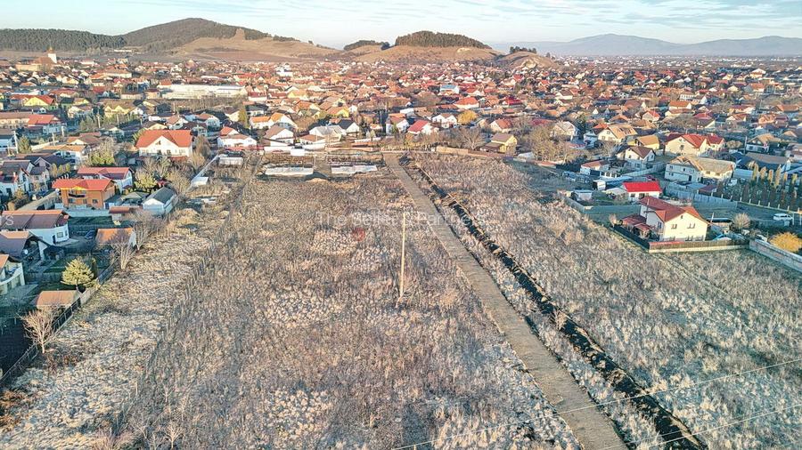 Teren intravilan cu Autorizatie de Construire - 11